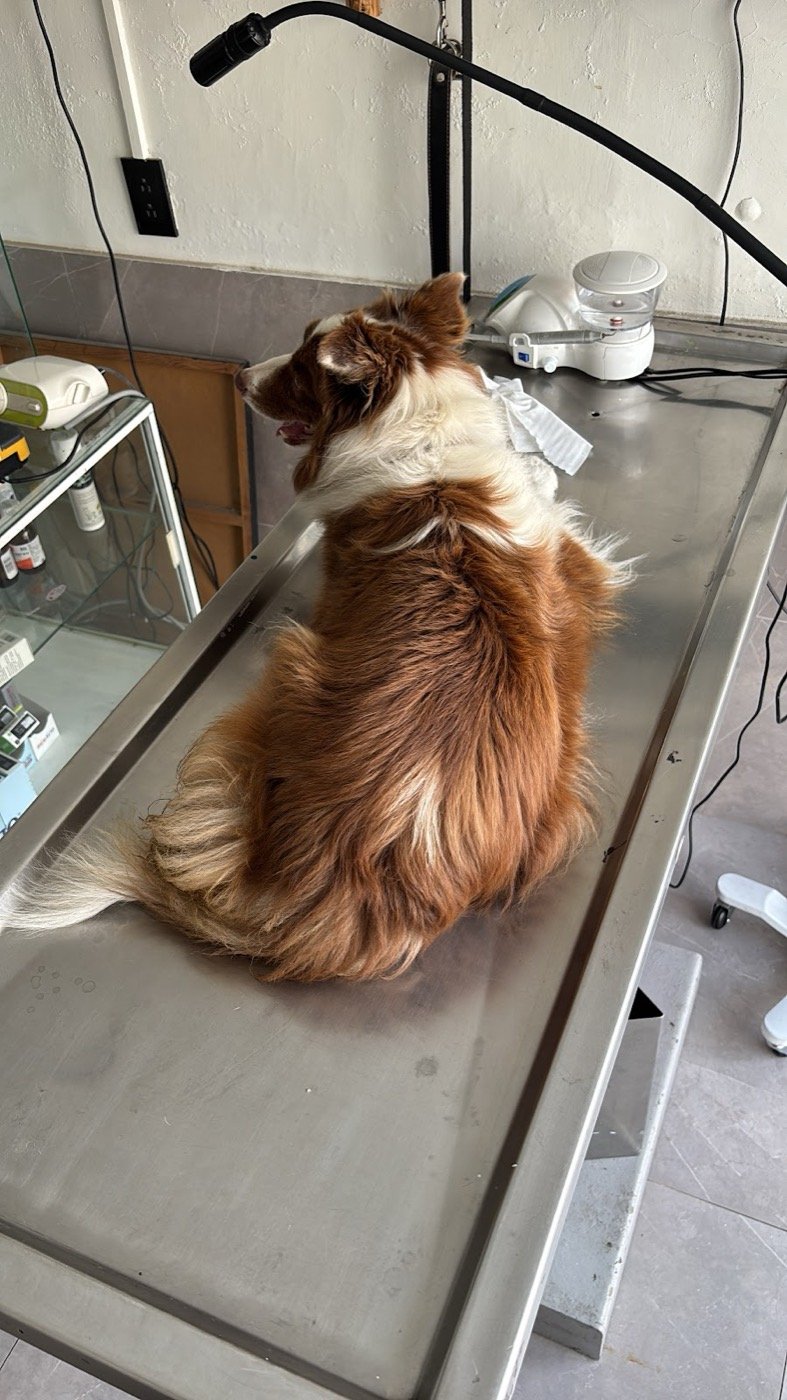 Paciente en la mesa de consulta